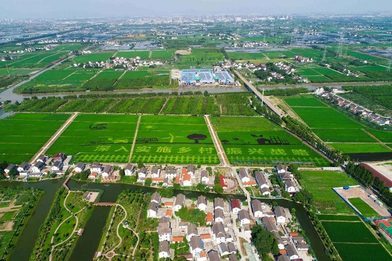 農(nóng)村人居環(huán)境整治提升5年行動將啟！2021中央一號文件正式發(fā)布
