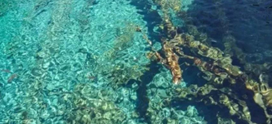 水質(zhì)怎么分類的？