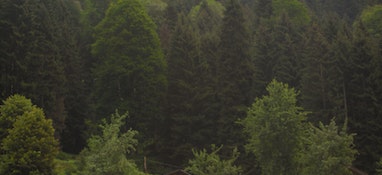 環(huán)境部答復(fù)“建議國家加大對固體廢物處理技術(shù)和專項(xiàng)設(shè)備的研發(fā)投入，增加專業(yè)處理機(jī)構(gòu)的數(shù)量”的建議